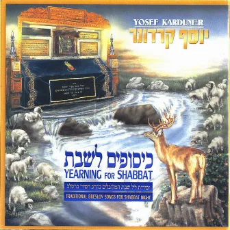 Yearning for Shabbat by Yosef Karduner