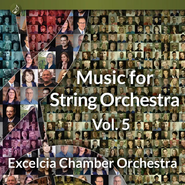 Music for String Orchestra, Volume 5