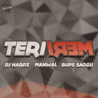 Teri Meri by DJ Harpz