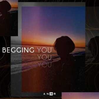 Begging You by AN3M