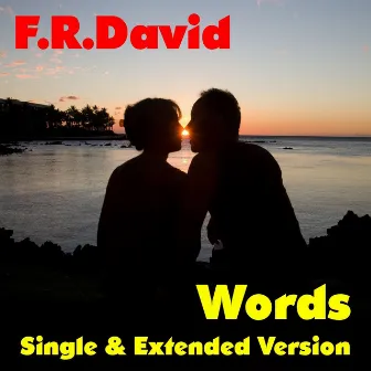 Words by F.R. David