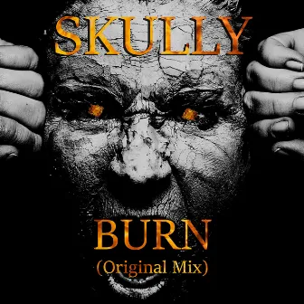 Burn (Radio Edit) by Skully