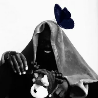 The Butterfly Project (With Kameclub) by Black Sensei