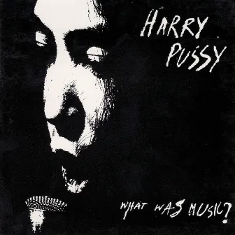 What Was Music? by Harry Pussy