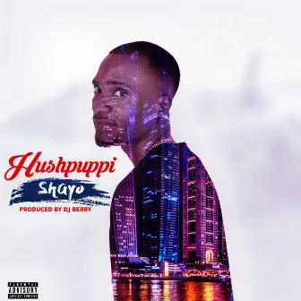 Hushpuppi by Shayo