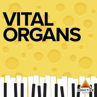 Vital Organs by Michael Ellgren