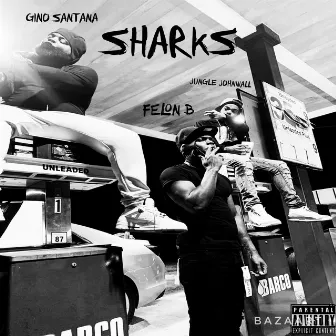 Sharks by Gino Santana