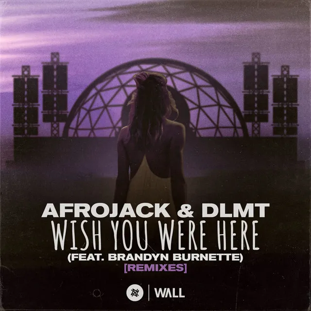 Wish You Were Here (feat. Brandyn Burnette) - Dave Summit & CastNowski Remix