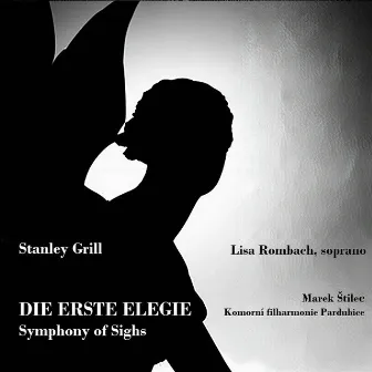 Die Erste Elegie by Lisa Rombach