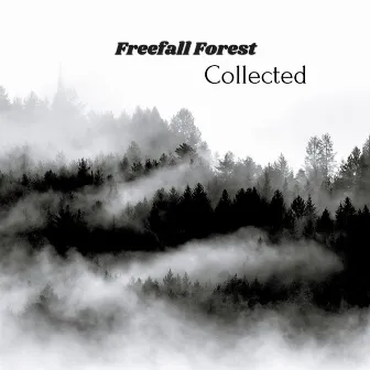 Collected by Freefall Forest