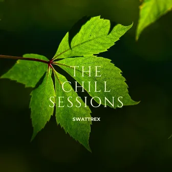 THE CHILL SESSIONS 1 : SHADES OF LOVE by Lofi By Swattrex