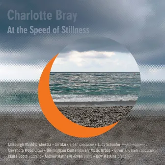 Charlotte Bray: At the Speed of Stillness by Charlotte Bray