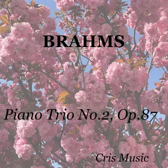 Brahms: Piano Trio No.2, Op.87 by 