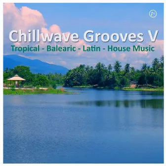 PI ChillWave Grooves Five by Walter Silva