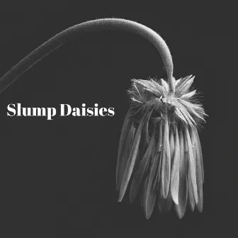 Slump Daisies by Trizz Davinci