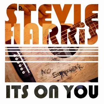 It's On You by Stevie Harris