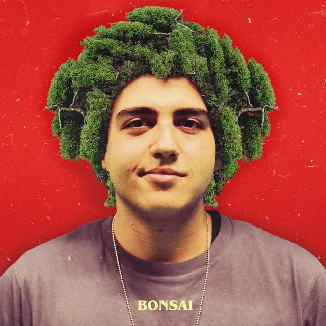 Bonsai