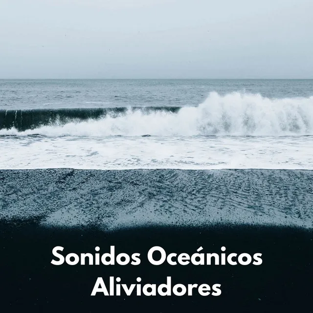 Ondas Suaves Del Océano