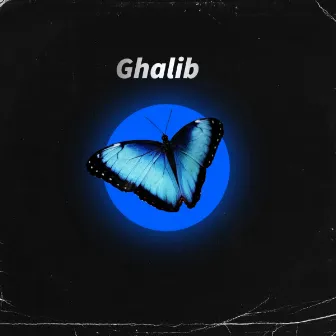 Ghalib by KALAM INK