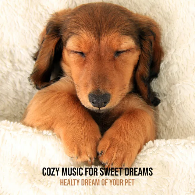 Cozy Music for Sweet Dreams. Healty Dream of Your Pet. Helps to Fall Asleep Quickly, Against Insomnia