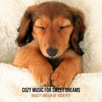 Cozy Music for Sweet Dreams. Healty Dream of Your Pet. Helps to Fall Asleep Quickly, Against Insomnia by Pets Lover Artist