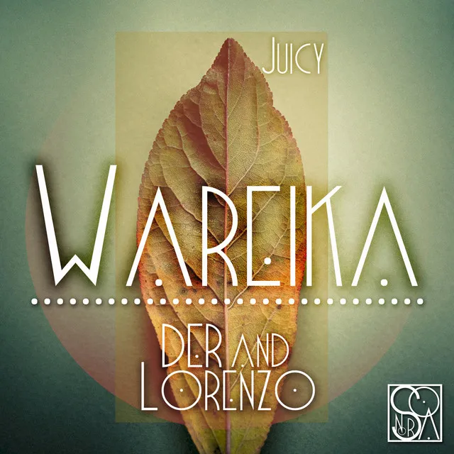 Juicy - Wareika Remix