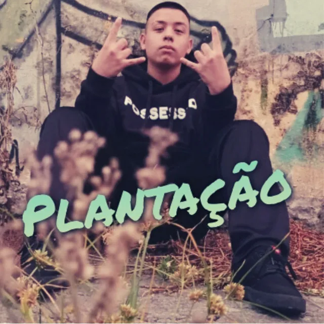 Plantação