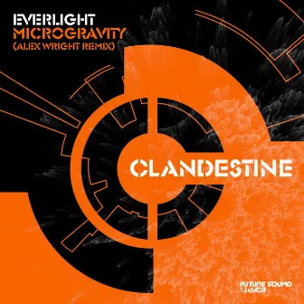 Microgravity (Alex Wright Remix) by EverLight