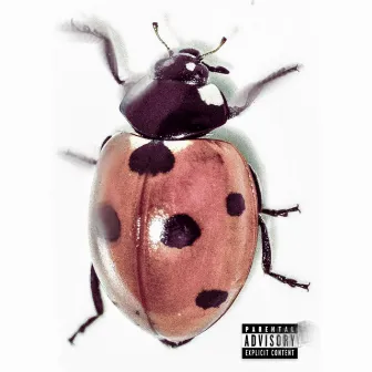 LOVEBUG by Cloutgod Duggie