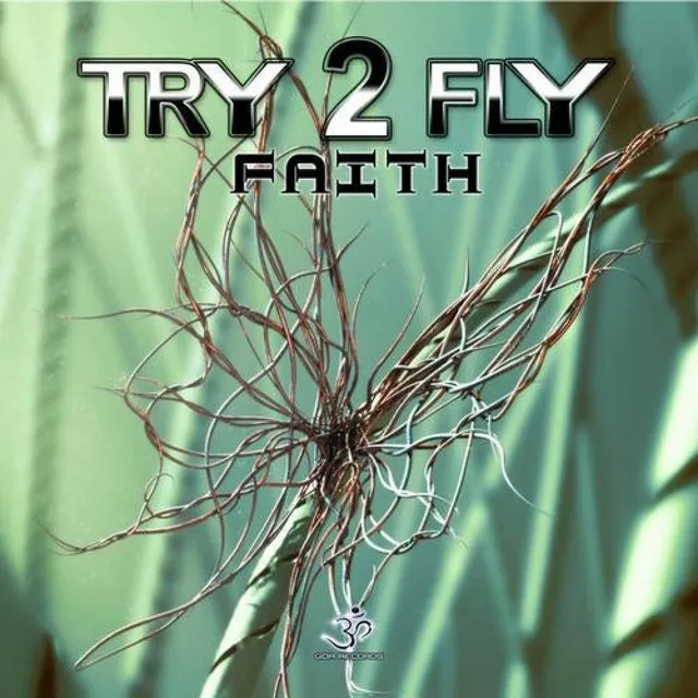 Try2Fly