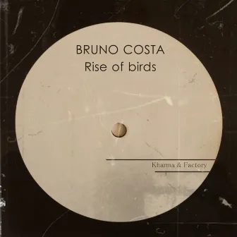 Rise of Birds by Bruno Costa