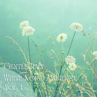 Gentle Rain White Noise Ambience Vol. 1 by Binaural Beats Concentration