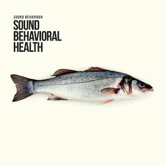 Sound Behavioral Health by Sound Behaviour