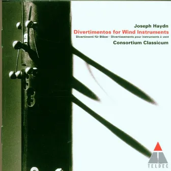 Haydn : Divertimentos for Wind Instruments by Consortium Classicum