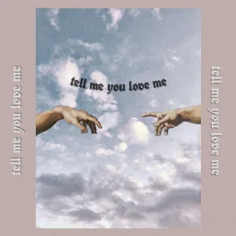 Tell Me You Love Me by ZAY NAB