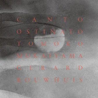 Simeon ten Holt: Canto Ostinato by Gerard Bouwhuis