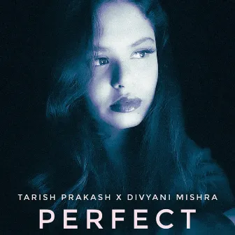 Perfect by Divyani Mishra