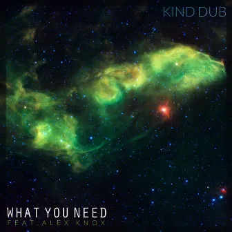 What You Need by Kind Dub