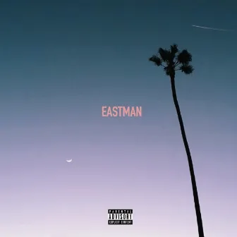 Untitled Vibes by Eastman