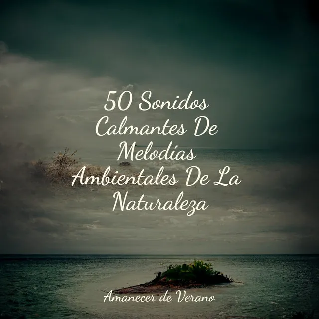 50 Sonidos Calmantes De Melodías Ambientales De La Naturaleza