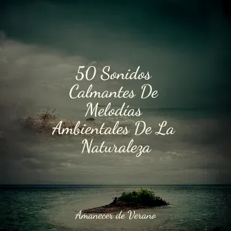 50 Sonidos Calmantes De Melodías Ambientales De La Naturaleza by kinderliedjes