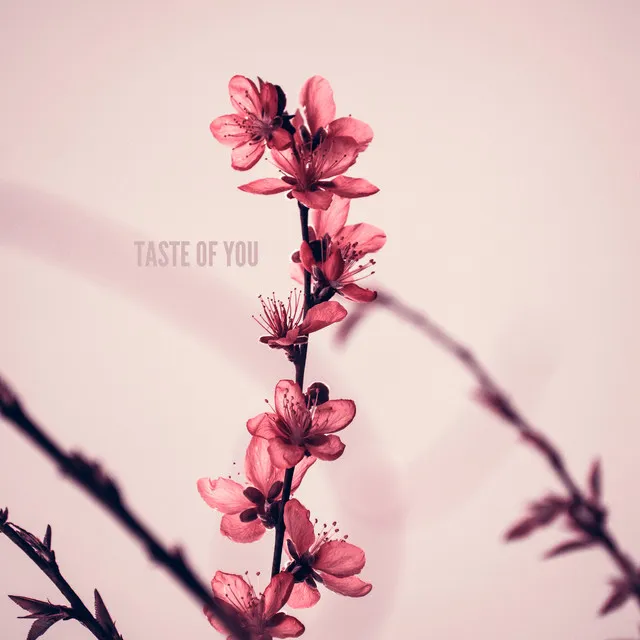 Taste of You