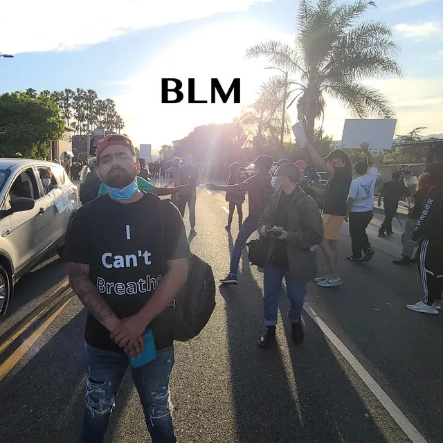 BLM (Black Lives Matter)