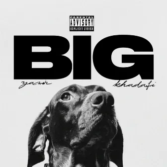 Big dawg by Yasir Khadafi