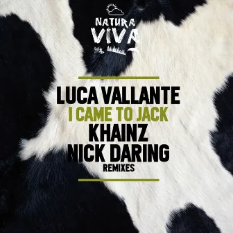 I Came to Jack by Luca Vallante