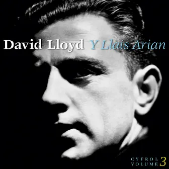 Y Llais Arian (Cyfrol 3 / Volume 3) by David Lloyd