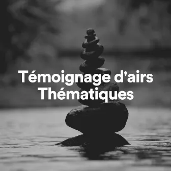 Témoignage d'airs Thématiques by Unknown Artist