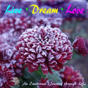 Live, Dream, Love by Alessandro Marcello