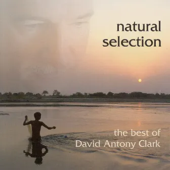 Clark, David Antony: Natural Selection by David Antony Clark