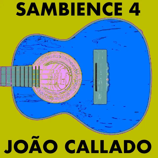 Sambience 4